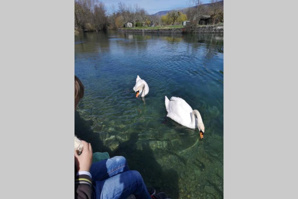 Le Portougais, Chalet A Chanaz, La Petite Venise Savoyarde Kültér fotó