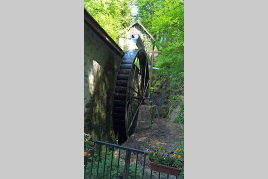 Le Portougais, Chalet A Chanaz, La Petite Venise Savoyarde Kültér fotó